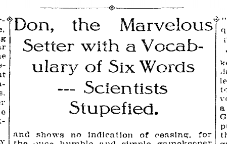 Don the Talking Dog makes headlines.