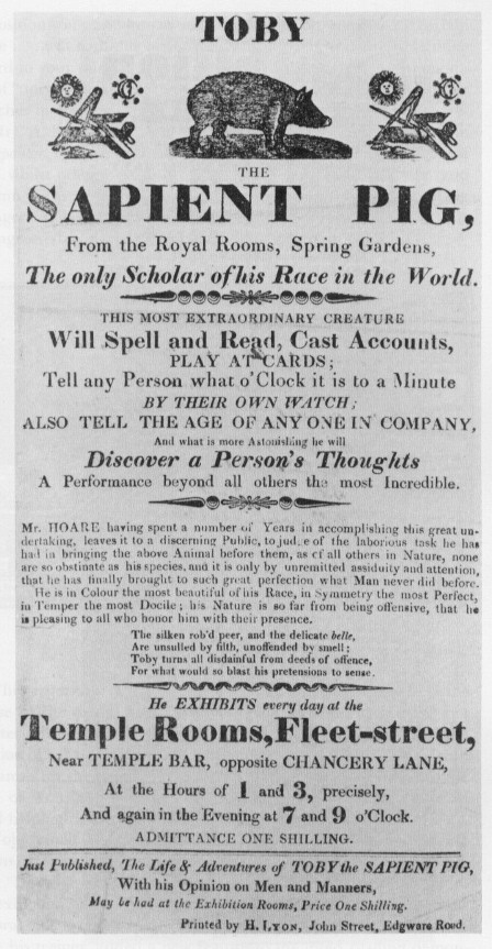 Toby The Sapient Pig, 1817 [Public domain], via Wikimedia Commons