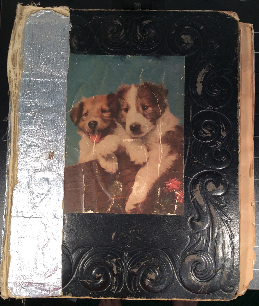 The cover of Agnes's scrapbook. Photo courtesy of Dori Ann Bischmann, PhD.