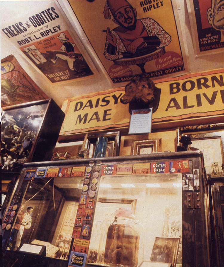 Inside Johnny Fox's Freakatorium. Photo by Liz Steger-Hartzman.