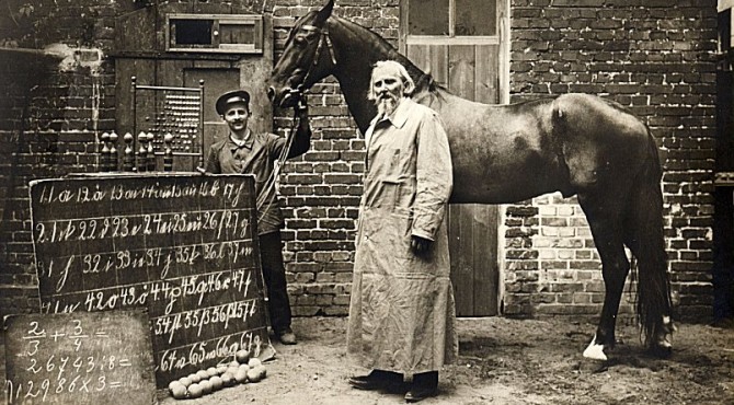 Clever Hans the Educated Horse