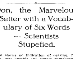 Don the Talking Dog makes headlines.