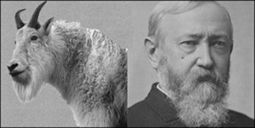 President Benjamin Harrison and his pet goat