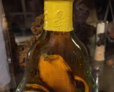 Care for a sip of Snake Wine?