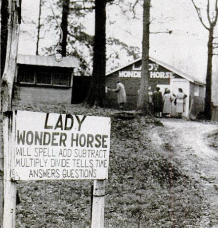 Lady Wonder: sign by Anonymous [Public domain], via Wikimedia Commons