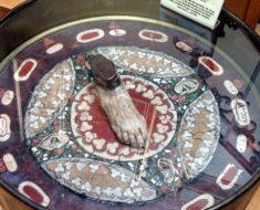 Table at Musée d'Histoire de la Médecine in Paris. Photo © Marc Hartzman.