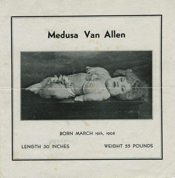 A pitchbook sold by Medusa Van Allen.