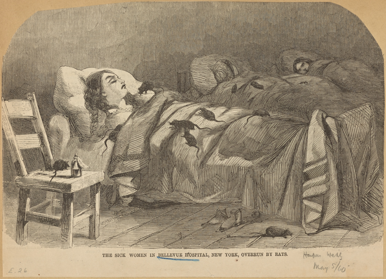 Hopefully Lottie Fowler had spirits to help her stay at Bellevue be more pleasant. Image credit: Irma and Paul Milstein Division of United States History, Local History and Genealogy, The New York Public Library. "The sick women in Bellevue Hospital, New York, overrun by rats" The New York Public Library Digital Collections. 1860-05-05. 