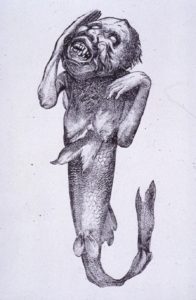 The Feejee Mermaid was exhibited in 1842. By P. T. Barnum (P. T. Barnum) [Public domain], via Wikimedia Commons