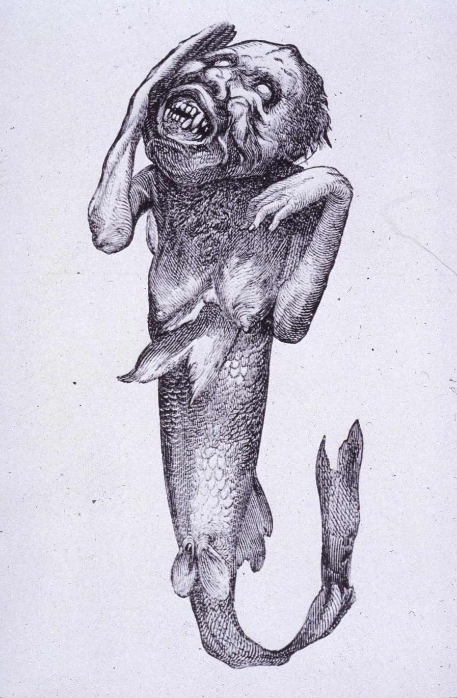 The Feejee Mermaid was exhibited in 1842. By P. T. Barnum (P. T. Barnum) [Public domain], via Wikimedia Commons