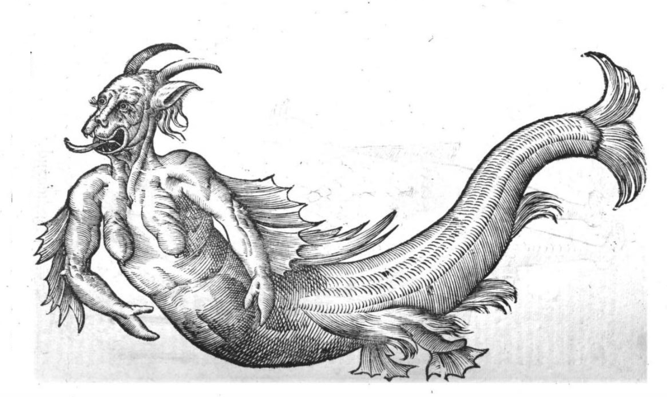 Not exactly Daryl Hannah. Mermaid illustration from Monstrorum Historia (1642) by Vlyssis Aldrouandi.