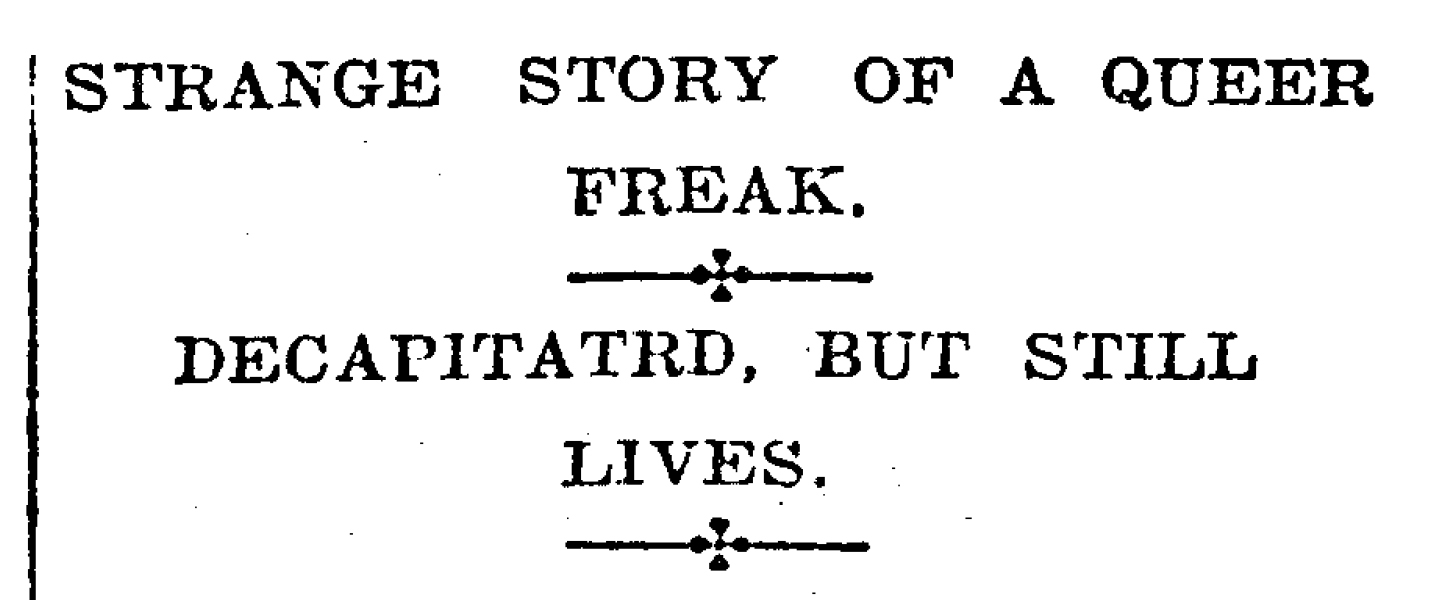 Headless hen headline, from the Cromwell Argus, August 6, 1906.
