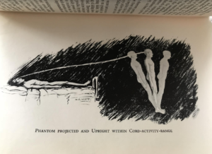 Astral Projection, from The Projection of the Astral Body, by Hereward Carrington and Sylvan Muldoon (1929).