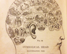 A phrenology head from How to Read Character, 1876.