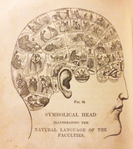 A phrenology head from How to Read Character, 1876.