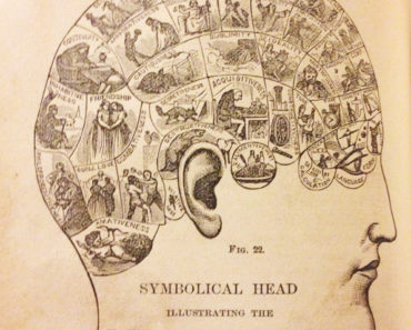A phrenology head from How to Read Character, 1876.