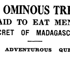 Headline from the Auckland Star, January 17, 1933.