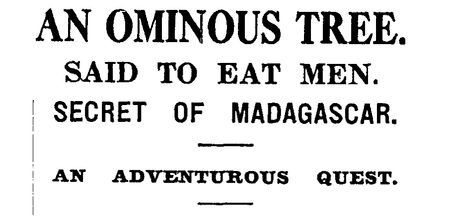 Headline from the Auckland Star, January 17, 1933.