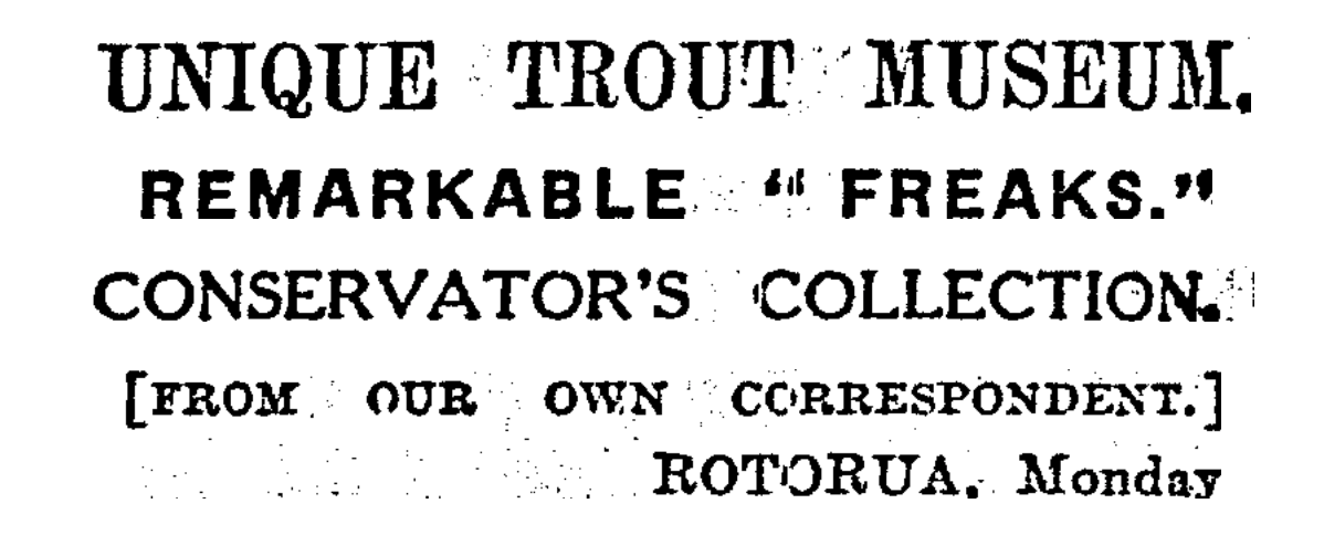 Freaky Fish headline from The New Zealand Herald, August 11, 1931. 