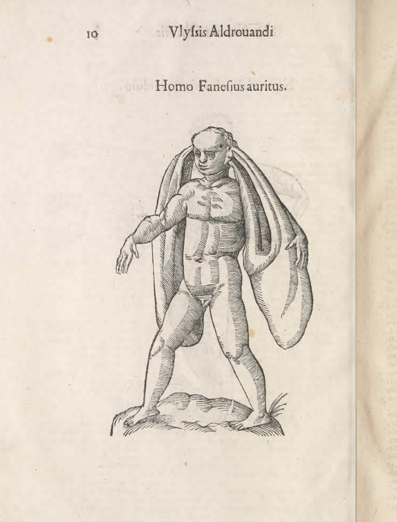 The Panotti, from Vlyssis Aldrovandi's book, Monstrorum Historia, 1642.