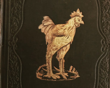 The History of Hen Fever: A Humorous Record.