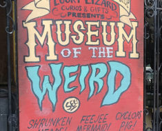 Museum of the Weird.