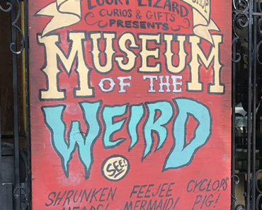 Museum of the Weird.