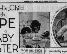 Gua, the chimpanzee and her human brother, Donald, as reported on by the Santa Cruz Evening News, July 15, 1933.