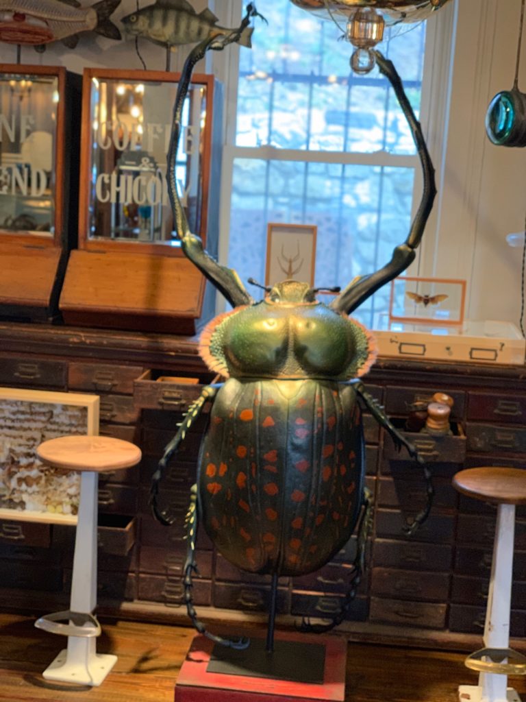 Need a giant beetle? Visit Early Electrics in Peekskill, NY.