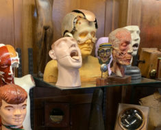 Medical models, plus the headpiece from Robin Williams' movie, Bicentennial Man, at Early Electrics.