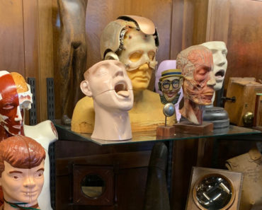 Medical models, plus the headpiece from Robin Williams' movie, Bicentennial Man, at Early Electrics.