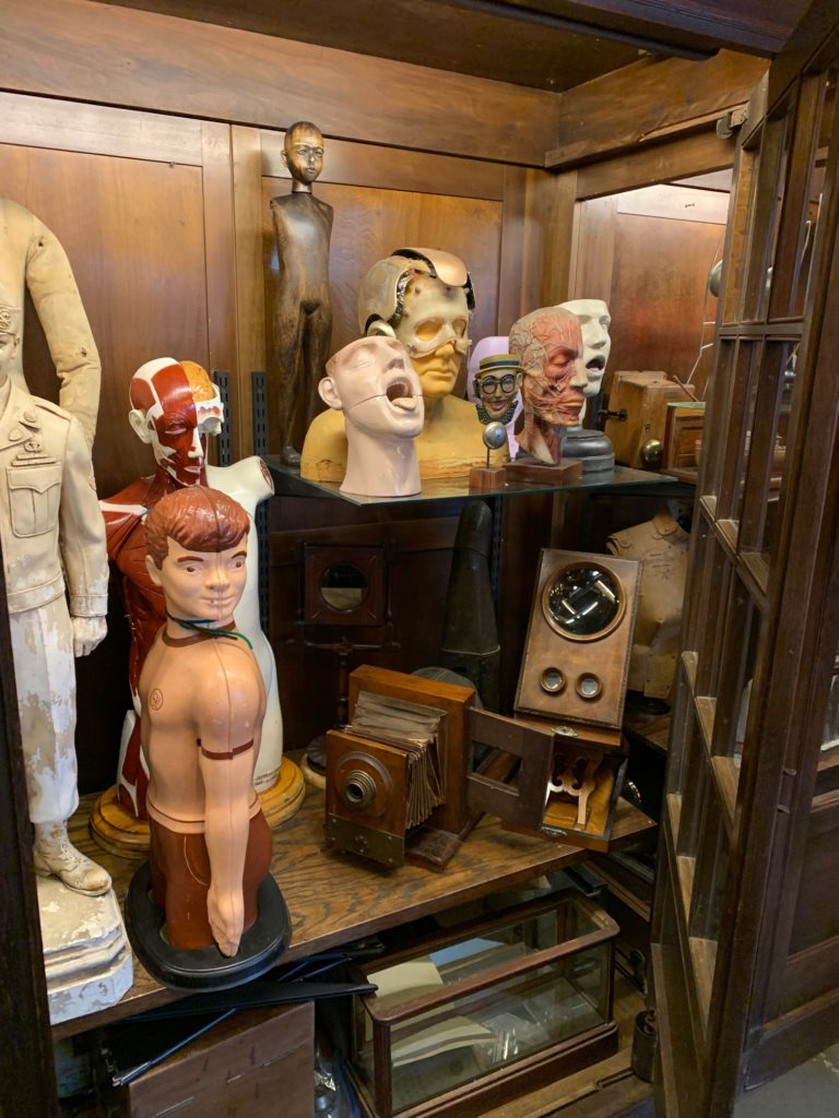 Medical models, including the headpiece from Robin Williams' movie, Bicentennial Man, at Early Electrics.