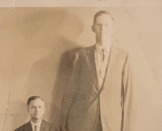 Robert Wadlow. Marc Hartzman Collection.