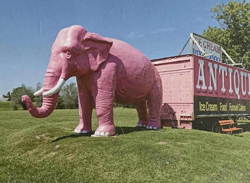 Pink elephant in Tim O'Brien's Roadside Pics & Picks