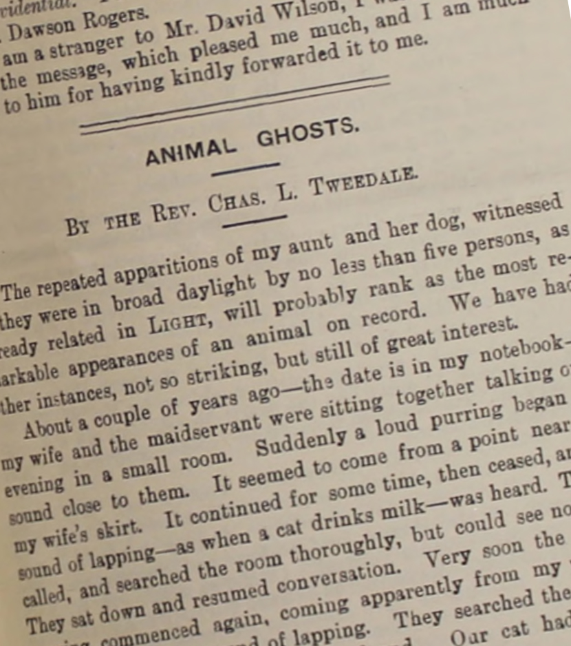 Animal Ghosts