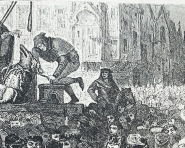 Execution of a sow